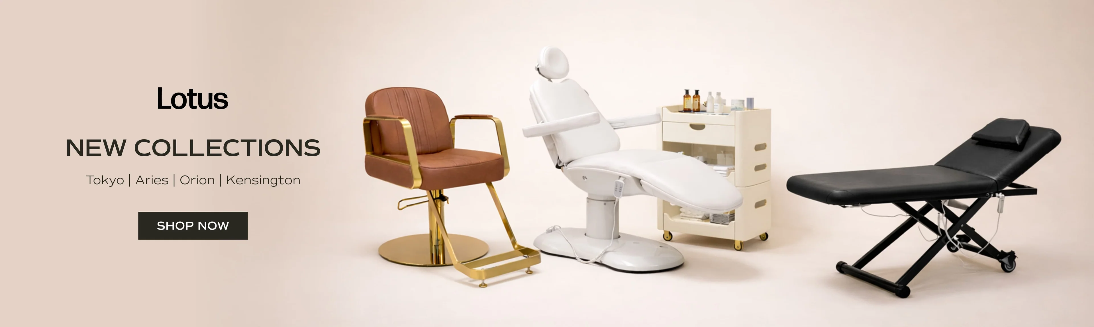 Elevate Your Salon's Artistry